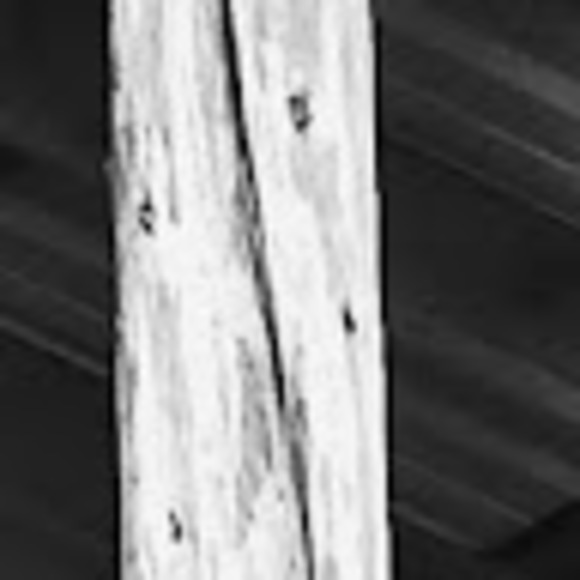 Meet your Posher, Isaac - Picture 1 of 1